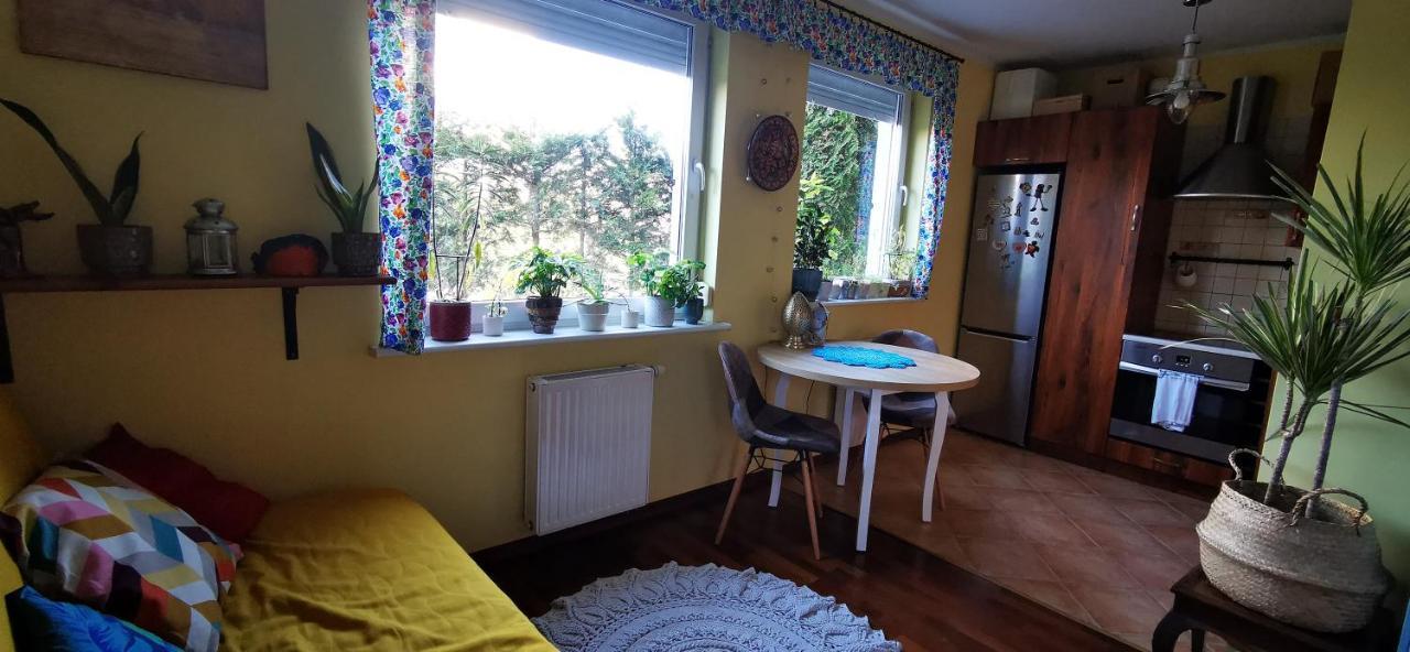 Apartmán Przytulna Kawalerka Z Ogrodem Gdaňsk Exteriér fotografie